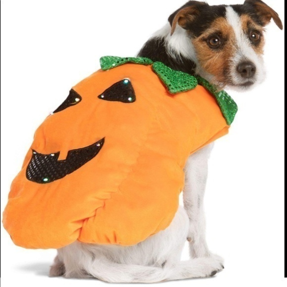 NEW Thrills & Chills Halloween Pumpkin Dog Costume | Size Large